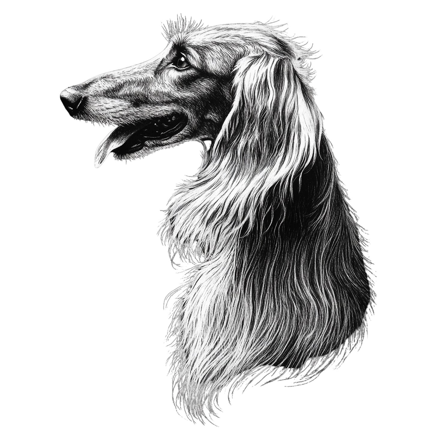 Afghan Hound "Noir & Blanc" T-shirt