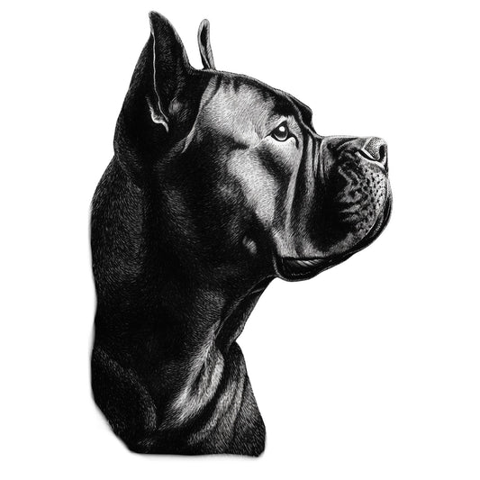 Cane Corso "Noir & Blanc" T-shirt