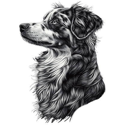 Australian Shepherd "Noir & Blanc" T-shirt
