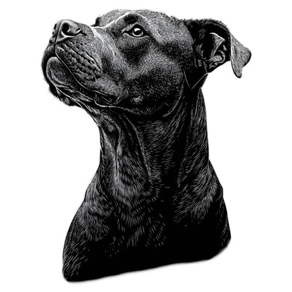 American Pit Bull "Noir & Blanc" T-shirt