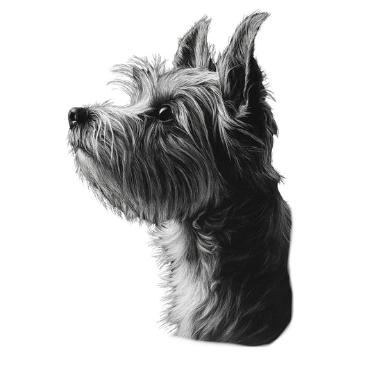 Biewer Terrier "Noir & Blanc" T-shirt