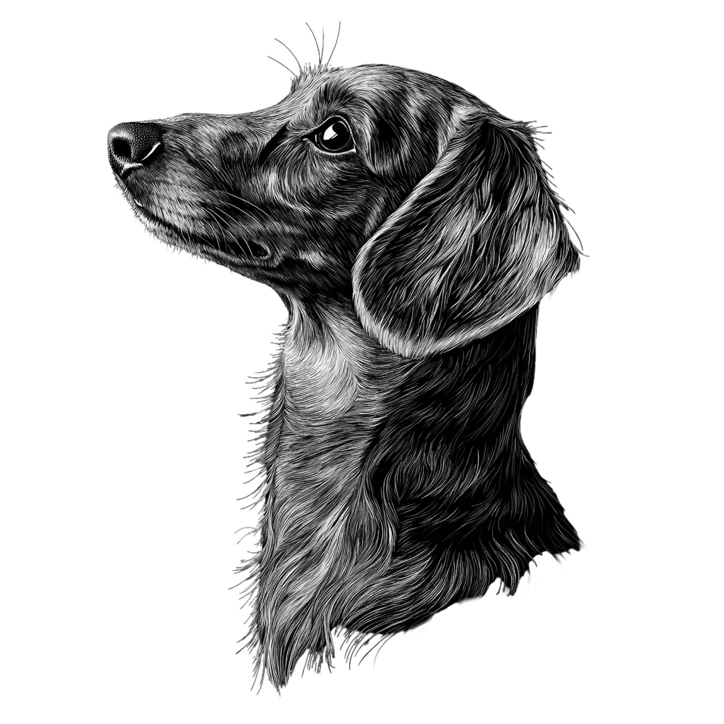 Dachshund "Noir & Blanc" T-shirt