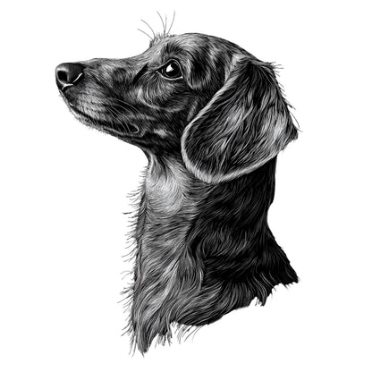 Dachshund "Noir & Blanc" T-shirt