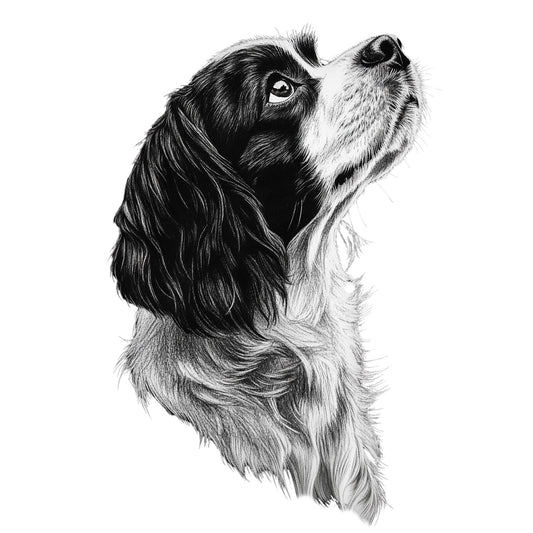 Cavalier King Charles Spaniel "Noir & Blanc" T-shirt