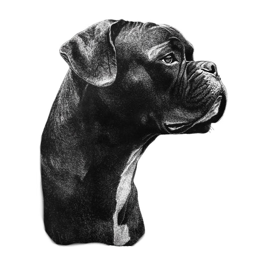 Boxer "Noir & Blanc" T-shirt