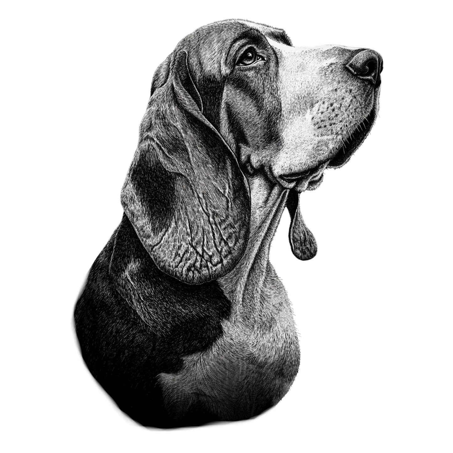 Basset Hound "Noir & Blanc" T-shirt