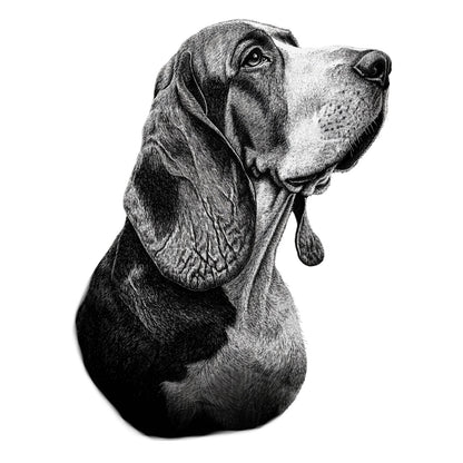 Basset Hound "Noir & Blanc" T-shirt