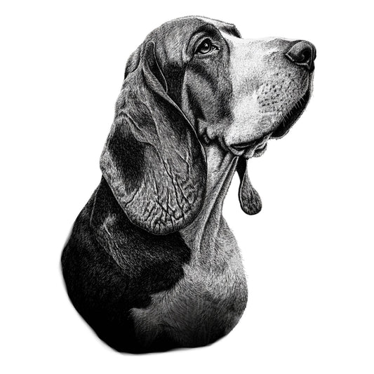Basset Hound "Noir & Blanc" T-shirt