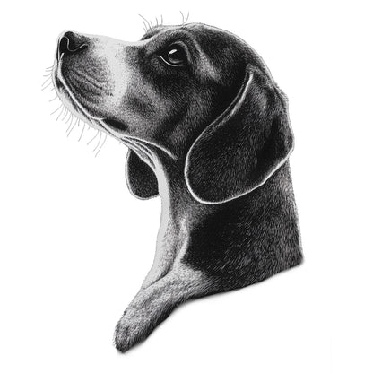 Beagle "Noir & Blanc" T-shirt