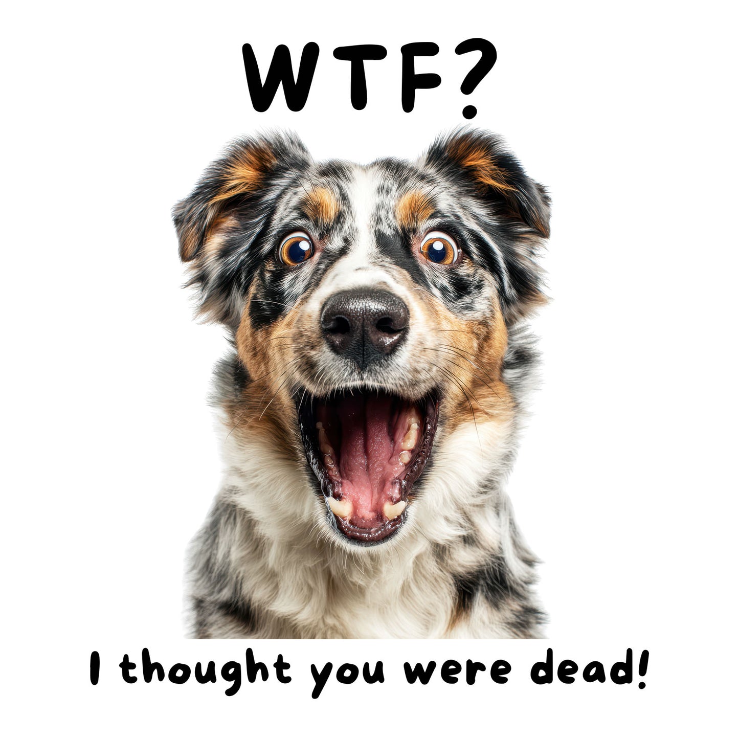 Australian Shepherd "WTF?" T-shirt