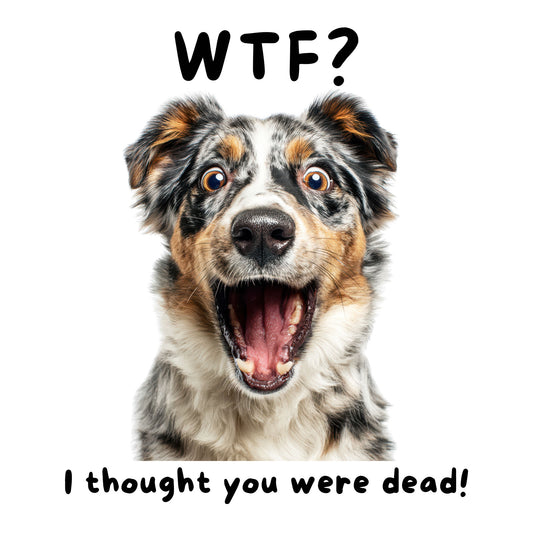 Australian Shepherd "WTF?" T-shirt