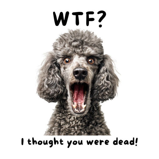 French Poodle "WTF?" T-shirt