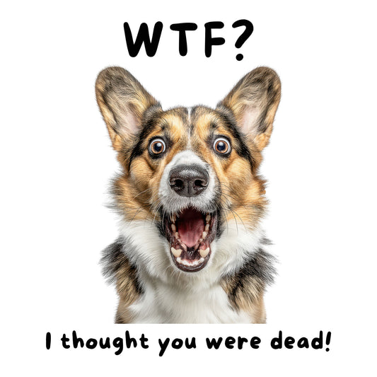 Pembroke Welsh Corgi "WTF?" T-shirt